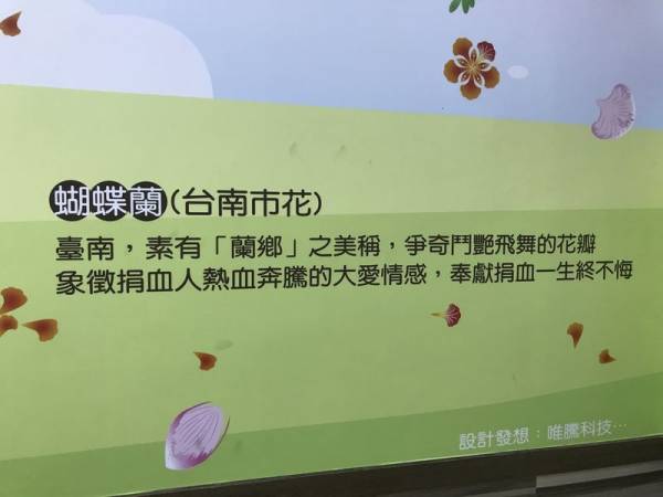 市花蝴蝶蘭